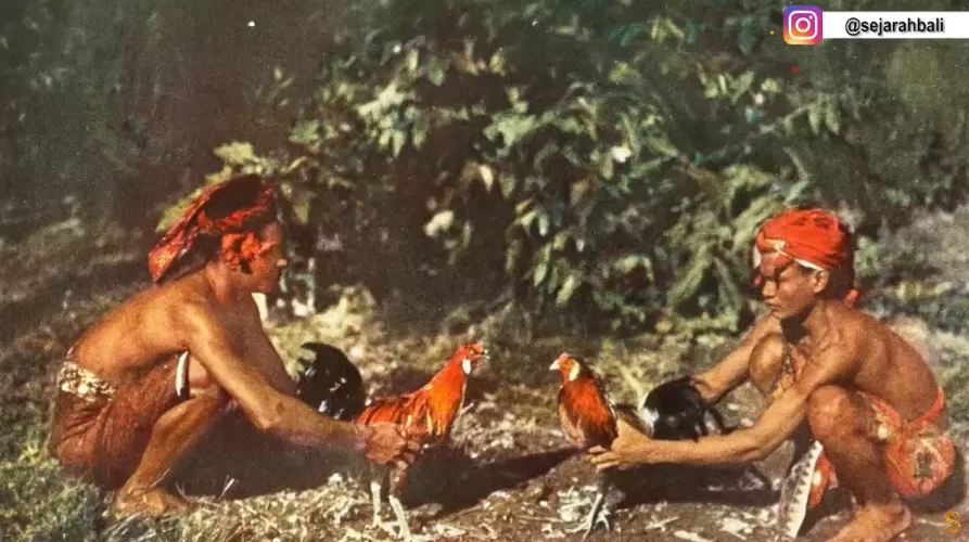 Foto Foto Berwana Pertama Kali Tentang Bali Tahun 1926